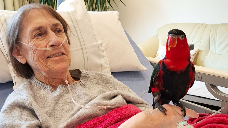 Weiblicher Hospizgast liegt im Bett und hat einen Papagei auf der Hand