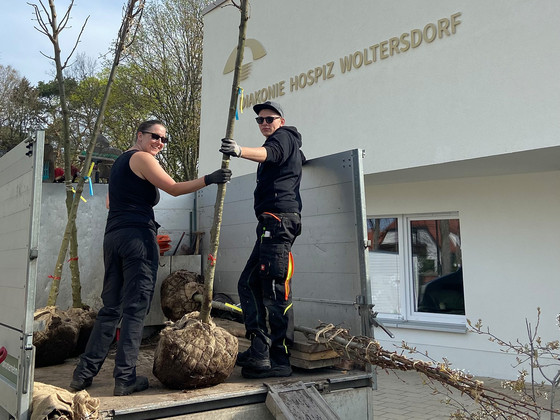 Zwei Mitarbeitende mit neuen Bäumen, Nachrichten, Diakonie Hospiz Woltersdorf