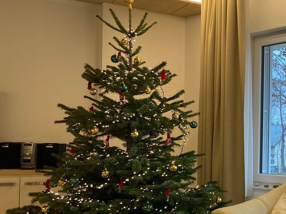 Firma spendet Weihnachtsbaum für Hospiz - Diakonie Hospiz Woltersdorf