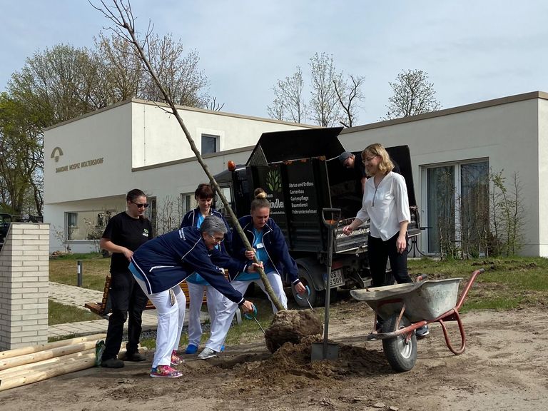 Mitarbeitende des Diakonie Hospiz Woltersdorf pflanzen einen der neuen Bäume, Nachrichten, Diakonie Hospiz Woltersdorf
