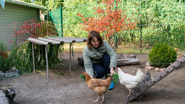 Eine Mitarbeiterin füttert im Garten des Diakonie Hospiz Woltersdorf zwei Hühner am Boden Eine Mitarbeiterin füttert im Garten des Diakonie Hospiz Woltersdorf zwei Hühner am Boden