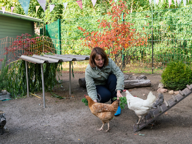 Eine Mitarbeiterin füttert im Garten des Diakonie Hospiz Woltersdorf zwei Hühner am Boden Eine Mitarbeiterin füttert im Garten des Diakonie Hospiz Woltersdorf zwei Hühner am Boden