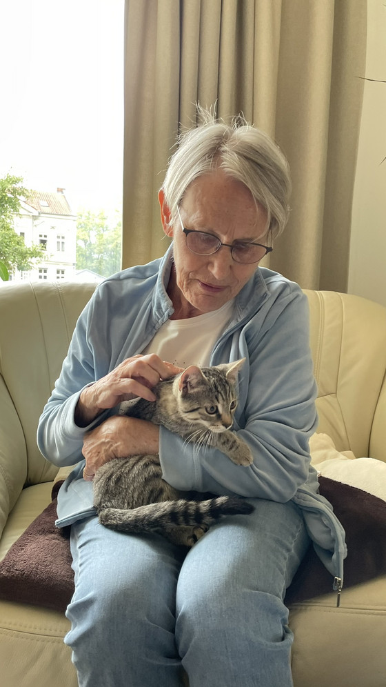 Hospizgast hält und streichelt eine junge getigerte Katze im Diakonie Hospiz Woltersdorf